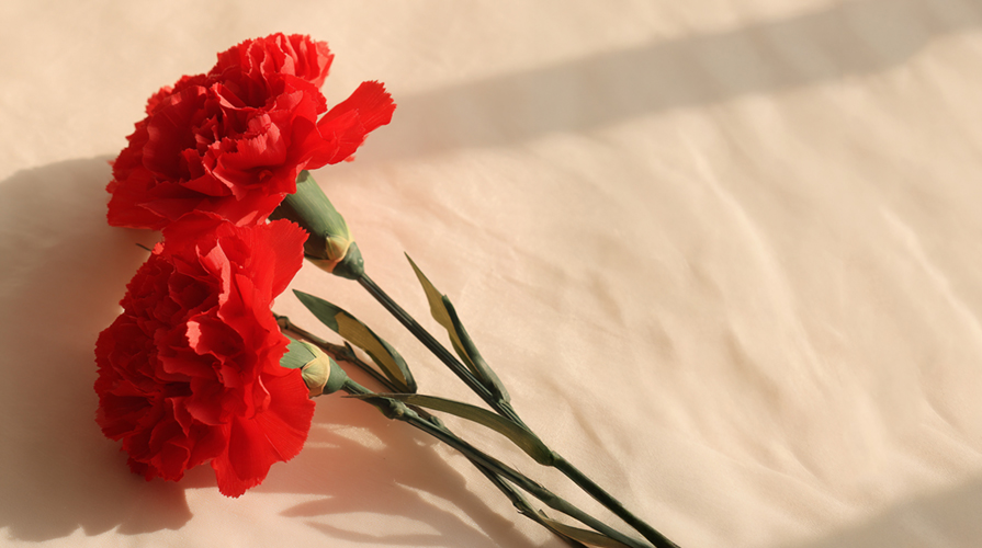 플라워시티 어버이날 카네이션 꽃바구니 꽃다발 당일 꽃배달 배너 이미지