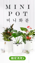 플라워시티 기획전