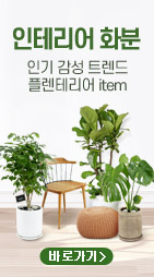 플라워시티 기획전