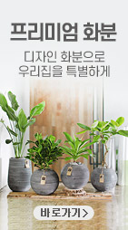 플라워시티 기획전