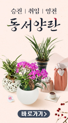 플라워시티 기획전